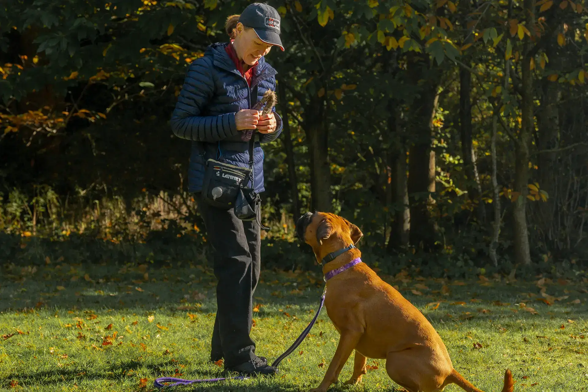 Canine Sense dog training Berkshire Surrey – Training Without Conflict method
