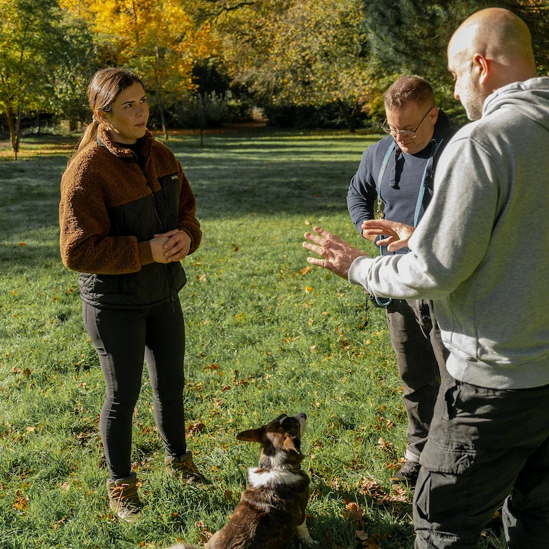 1-2-1 Dog Training - Bracknell - Image 4