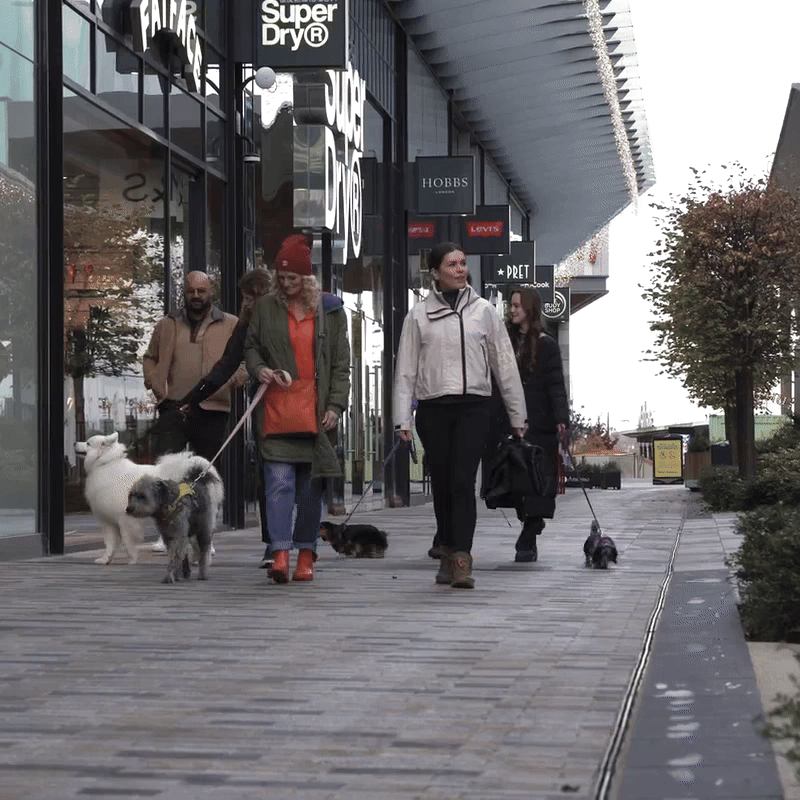 City Paws - Windsor - Image 2