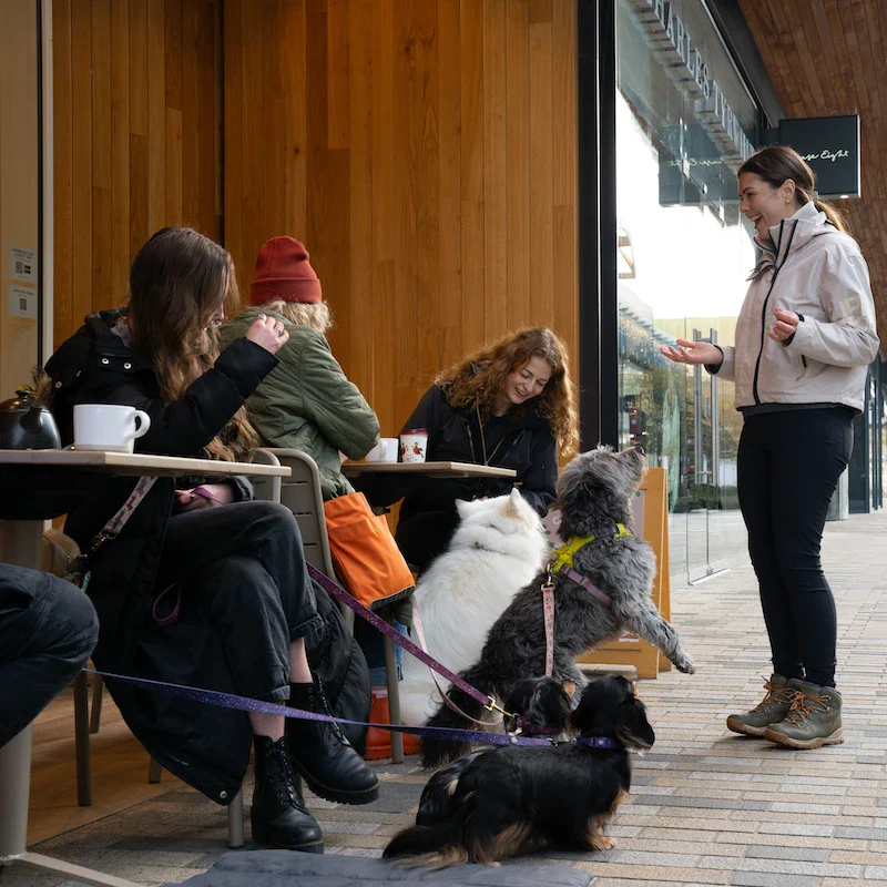 City Paws - Windsor - Image 7