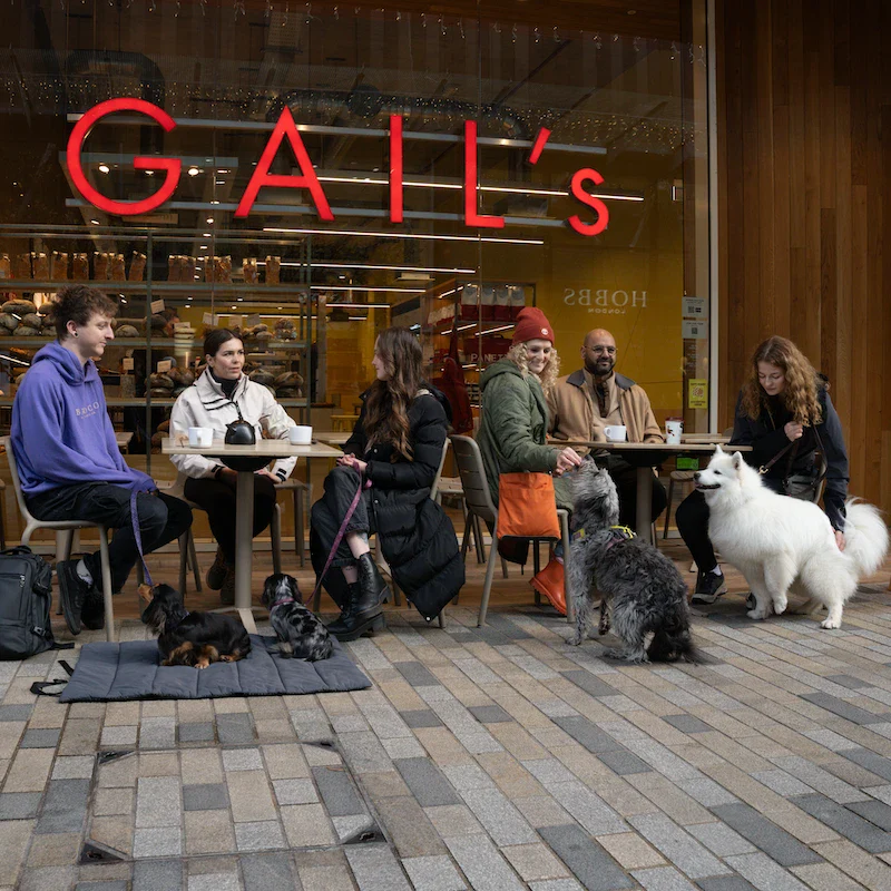 City Paws - Windsor - Image 6