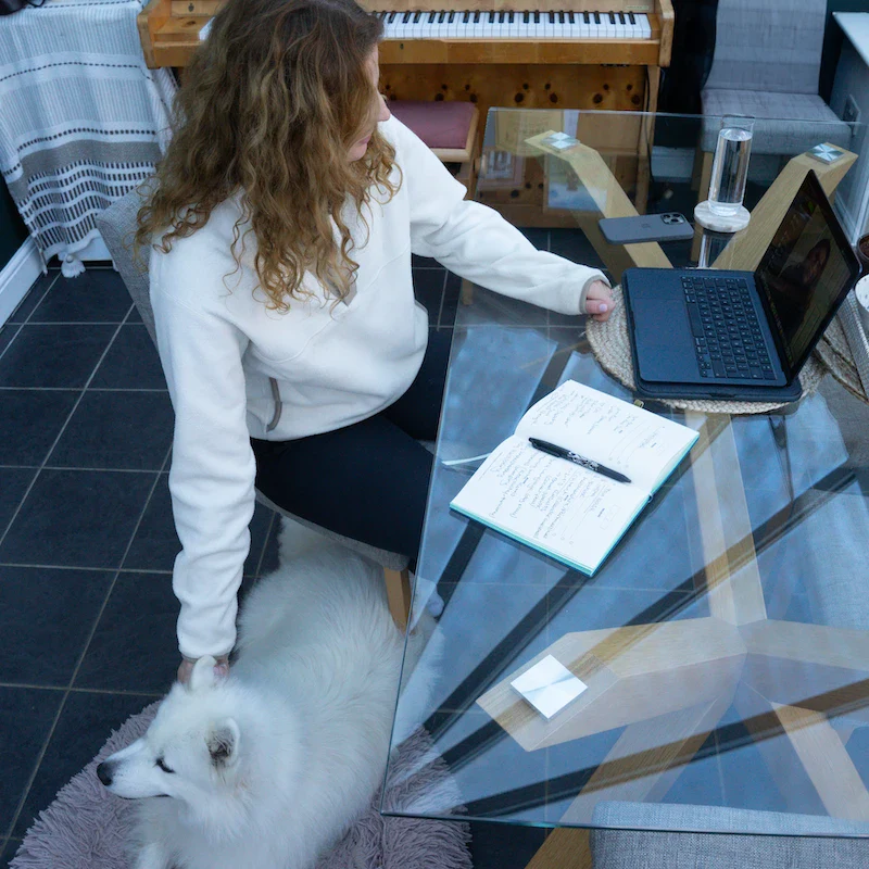 Online Dog Training - Image 2