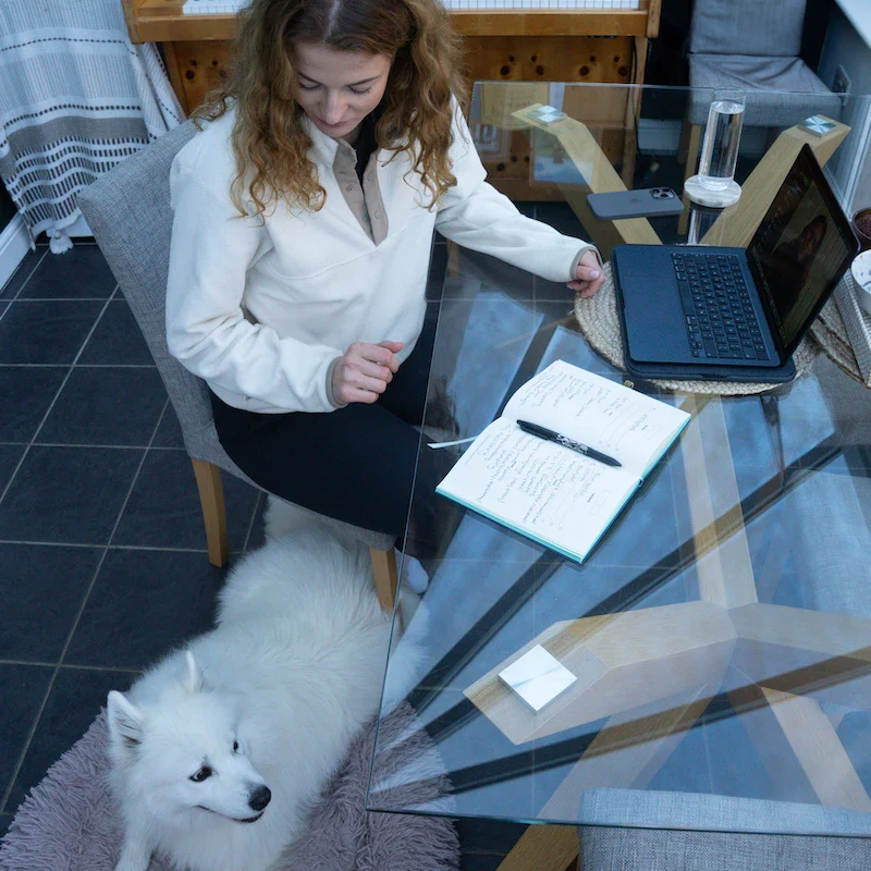 Online Dog Training - Image 4