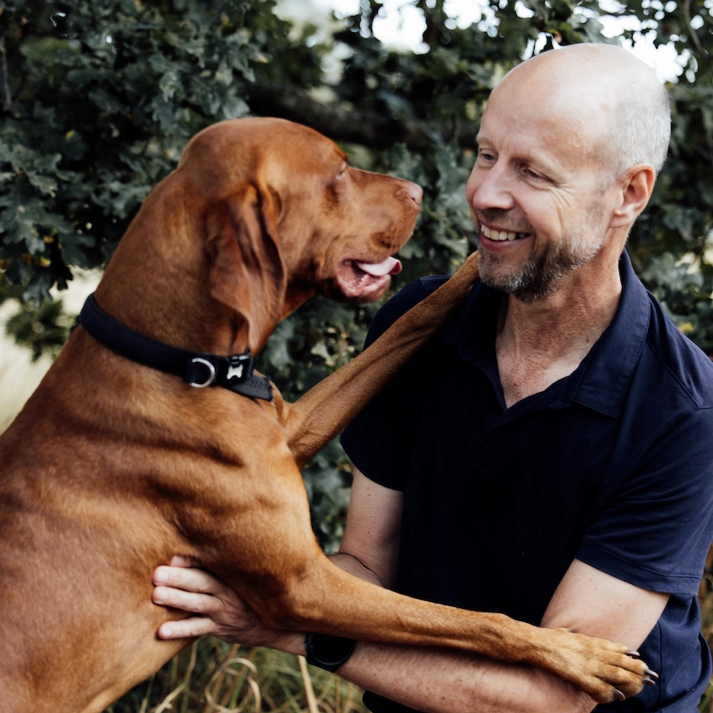 1-2-1 Dog Training - Home Visits - Image 8